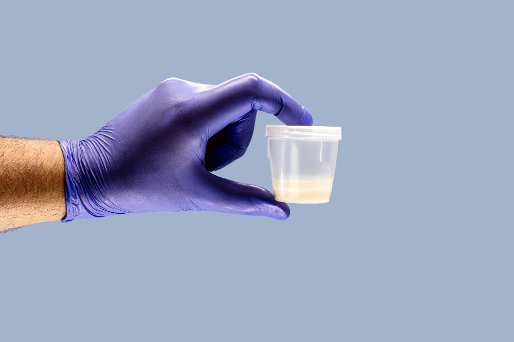 How can You determine if sperm has entered?