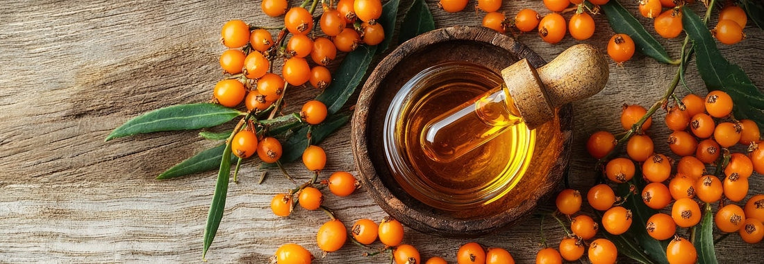 Seabuckthorn Oil Is Perfect for Beauty Routines
