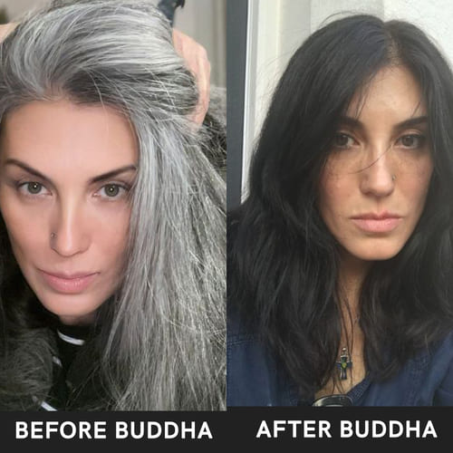 buddha natural anti grey hair oil and black hair color powder before after image 