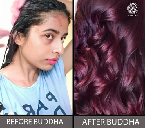 buddha natural burgqandy hair color before after image