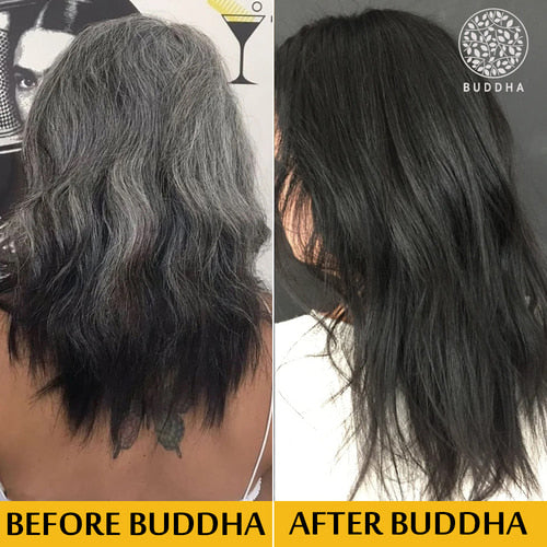 Buddha natural anti grey hair combo before after image