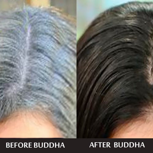 Buddha Natural Combo  - white hair to black hair oil- anti gray hair shampoo
