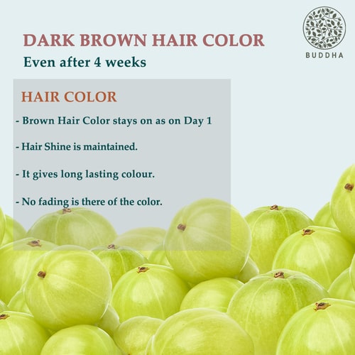Buddha Natural Dark Brown Hair color - last long for 4 weeks
