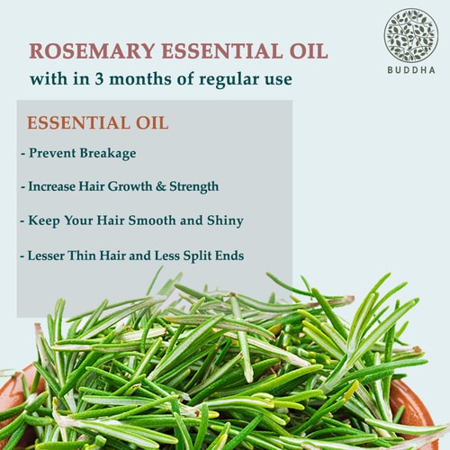 Rosemary Essential Oil - 100% Pure Natural - Your Natural Aromatic Wellness Companion