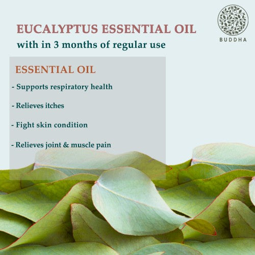 Benefits Eucalyptus Essential Oil