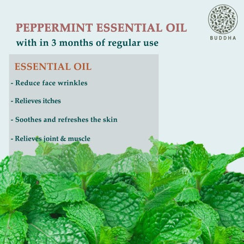 buddha natural Peppermint Essential Oil