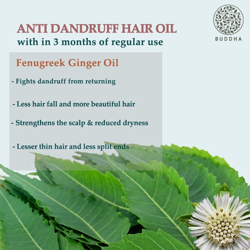 Buddha Natural Anti Dandruff Hair Oil - 3 Months regular use - anti dandruff natural oil - dandruff care oil
